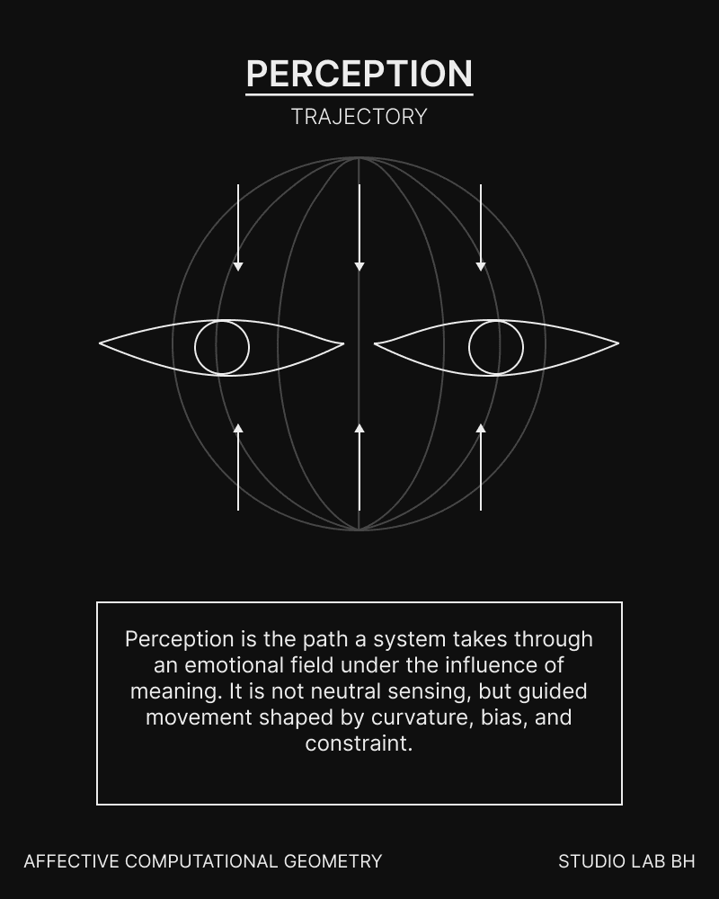 Two eyes cross a wireframe field with directional arrows, illustrating perception as a path shaped by meaning, curvature, bias, and constraint.
